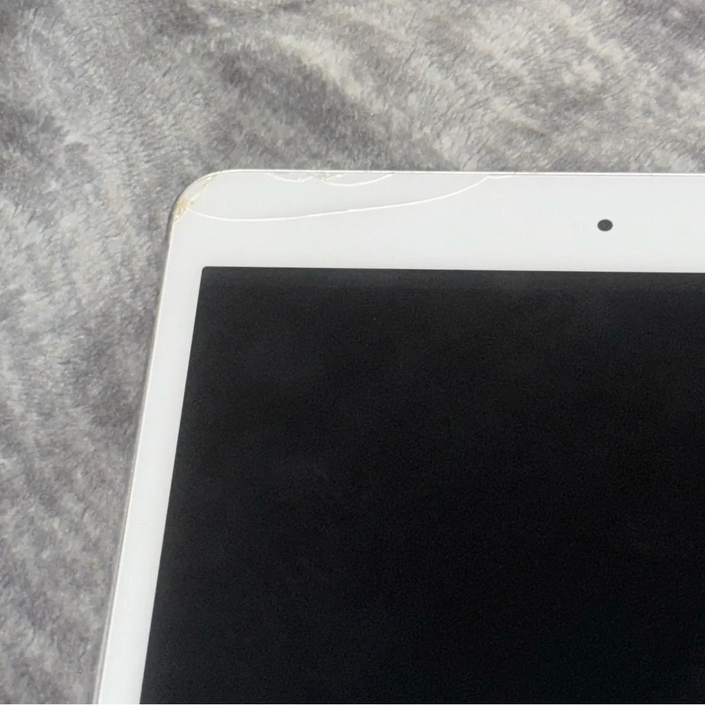 Apple ipad mini